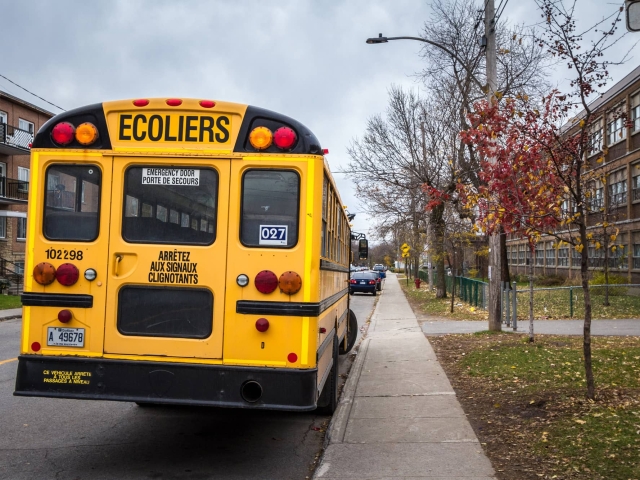Écoles et services familiaux à Rosemont : Guide complet 2025