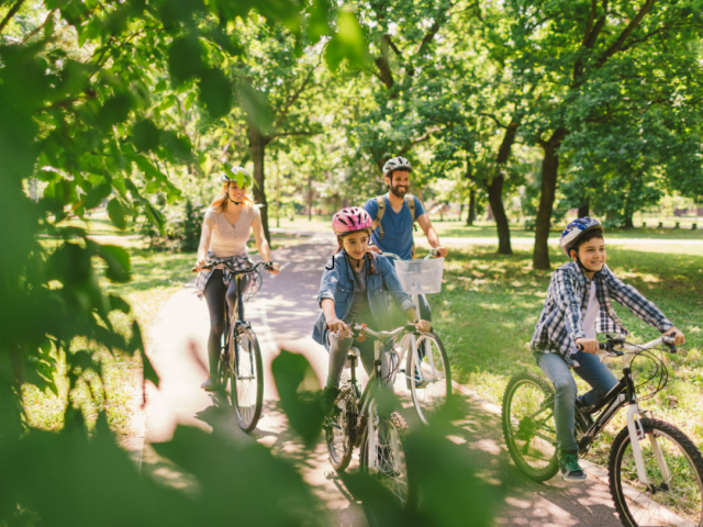 Écoles, transport et qualité de vie : Est-ce qu’ Auteuil est un bon choix pour votre famille ?