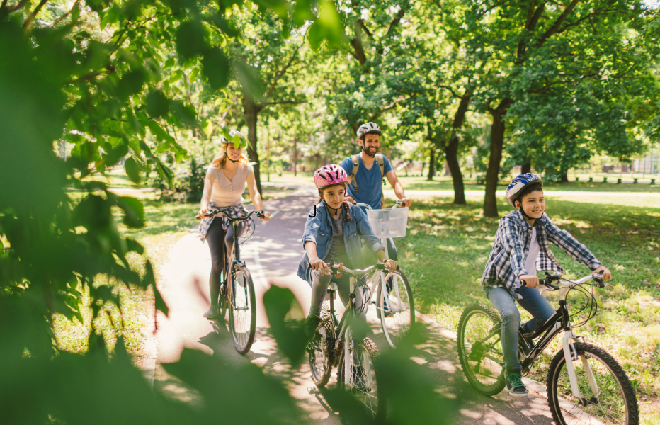 Écoles, transport et qualité de vie : Est-ce qu’ Auteuil est un bon choix pour votre famille ?